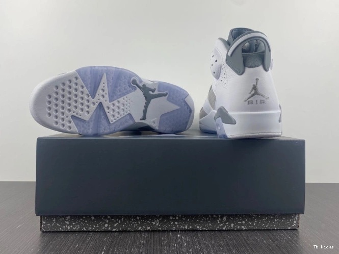 Reps TBK CT8529-100 Cool Jordan Grey Air 6 0709